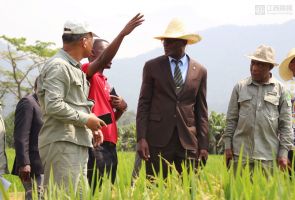 赤道幾內(nèi)亞農(nóng)業(yè)、畜牧、森林和環(huán)境部部長(zhǎng)阿卡波到示范農(nóng)場(chǎng)慰問(wèn)