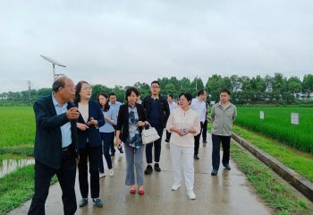 商務(wù)部國(guó)際經(jīng)濟(jì)合作事務(wù)局和農(nóng)業(yè)農(nóng)村部外經(jīng)中心 調(diào)研組一行到公司視察調(diào)研